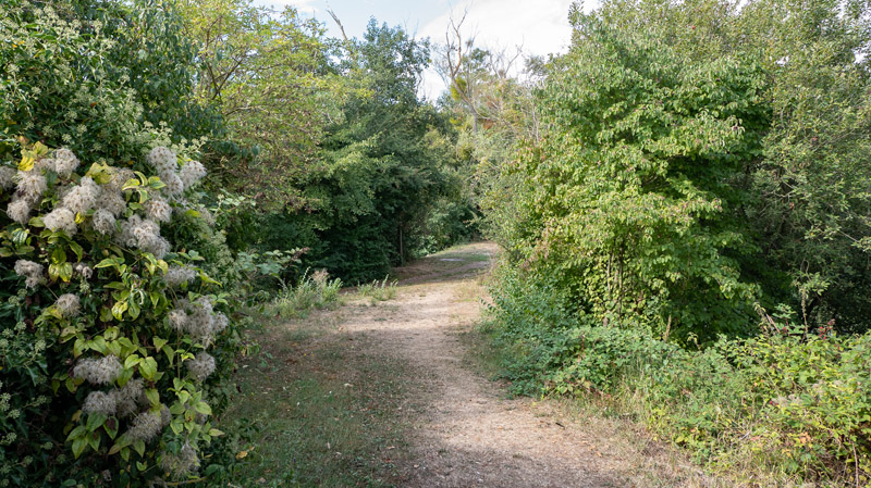 Camping avec tentes Évry